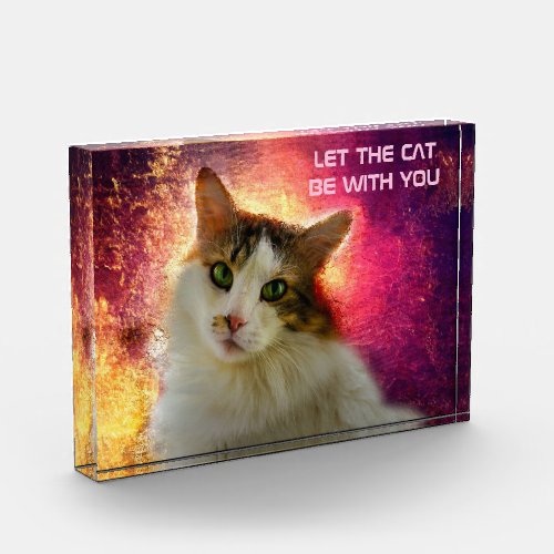 Adorable Cute Calico Cat Acrylic Award