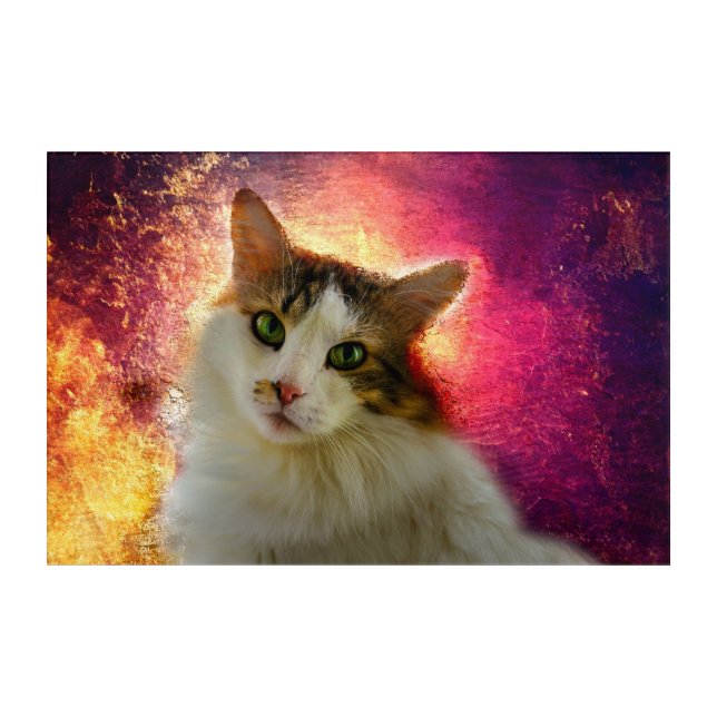 Adorable Cute Calico Cat Acrylic Print (Front)