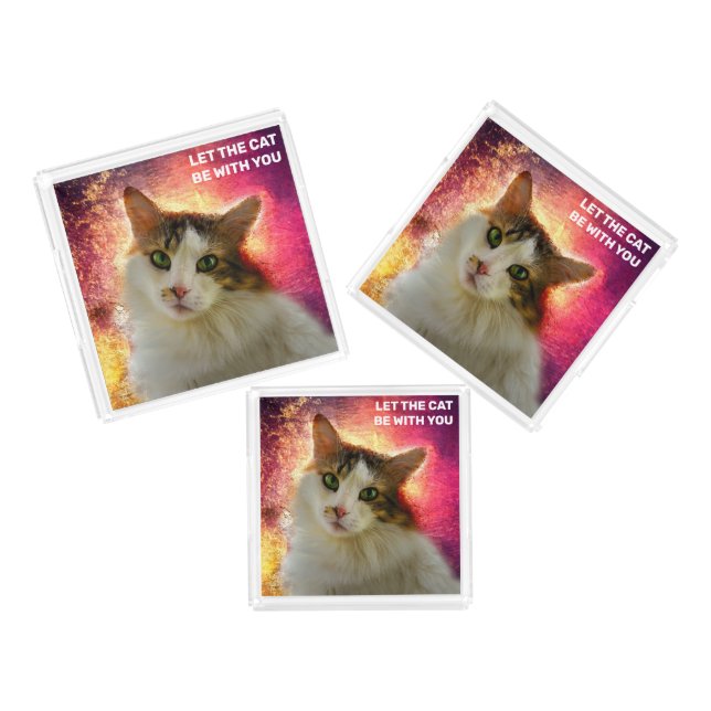 Adorable Cute Calico Cat Acrylic Tray (Set)