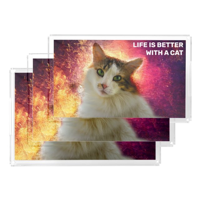 Adorable Cute Calico Cat Acrylic Tray (Set)