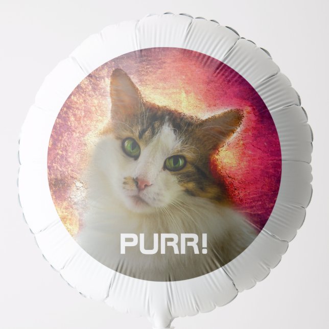 Adorable Cute Calico Cat Balloon (Front)