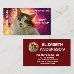 Adorable Cute Calico Cat Business Card