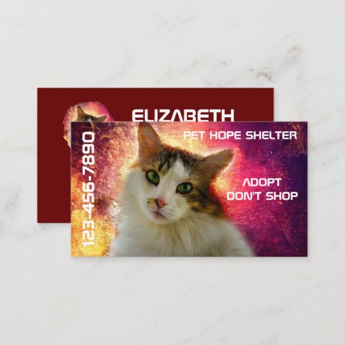 Adorable Cute Calico Cat Business Card