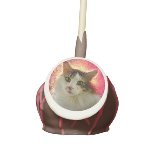 Adorable Cute Calico Cat Cake Pops