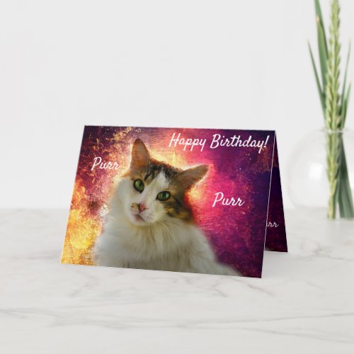 Adorable Cute Calico Cat Card