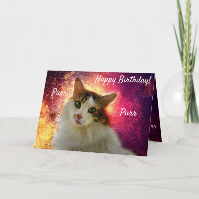 Adorable Cute Calico Cat Card (Front)