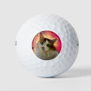 Adorable Cute Calico Cat Golf Balls
