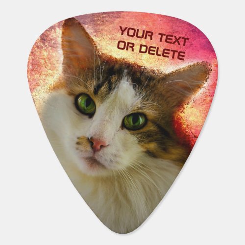 Adorable Cute Calico Cat Guitar Pick