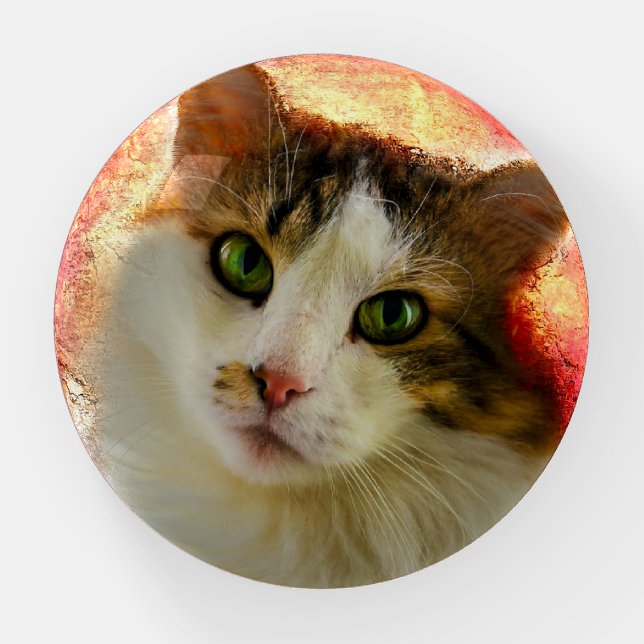 Adorable Cute Calico Cat Paperweight (Front)