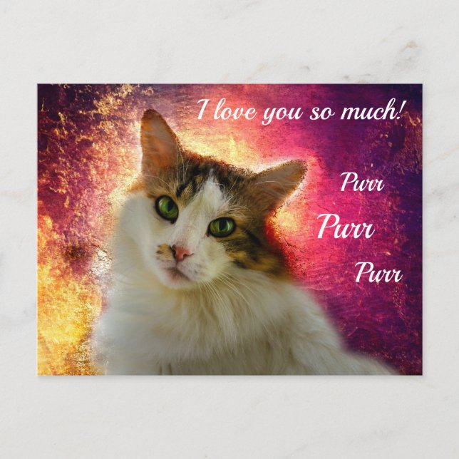 Adorable Cute Calico Cat Postcard (Front)