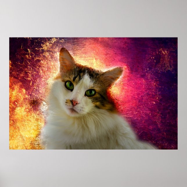 Adorable Cute Calico Cat Poster (Front)