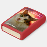 Adorable Cute Calico Cat Zippo Lighter