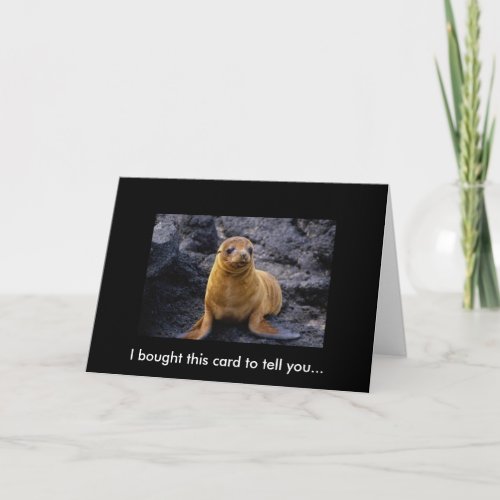 Adorable Cute Harbor Seal Pup On The Rocks Card