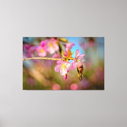 Adorable Cute Sakura Flowers At Spring Sunset Canvas Print