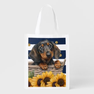 Adorable Dachshund