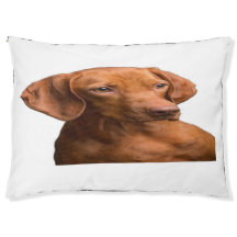 Adorable Dachshund Portrait Cozy Dog Bed