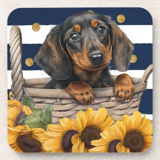 Adorable Dachshund Puppy