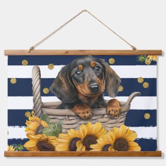 Adorable Dachshund Puppy