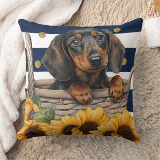 Adorable Dachshund Puppy Hanging