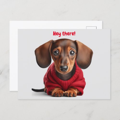 Adorable Dachshund Puppy  Postcard