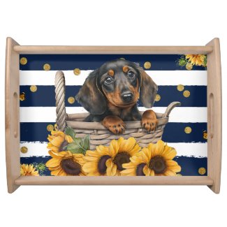 Adorable Dachshund Puppy