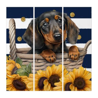 Adorable Dachshund Puppy