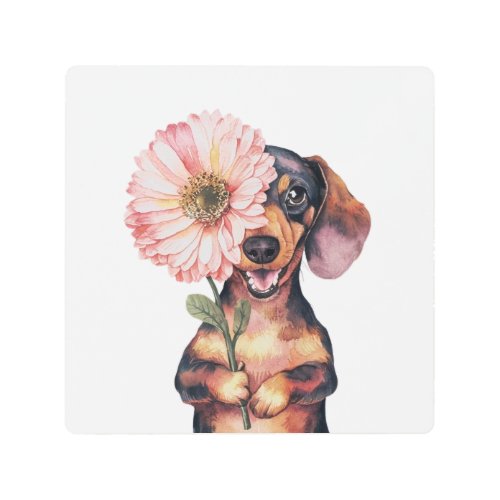 Adorable Dachshund Watercolor Illustration Metal Print