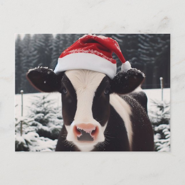 Adorable Dairy Cow in a Santa Hat Postcard (Front)