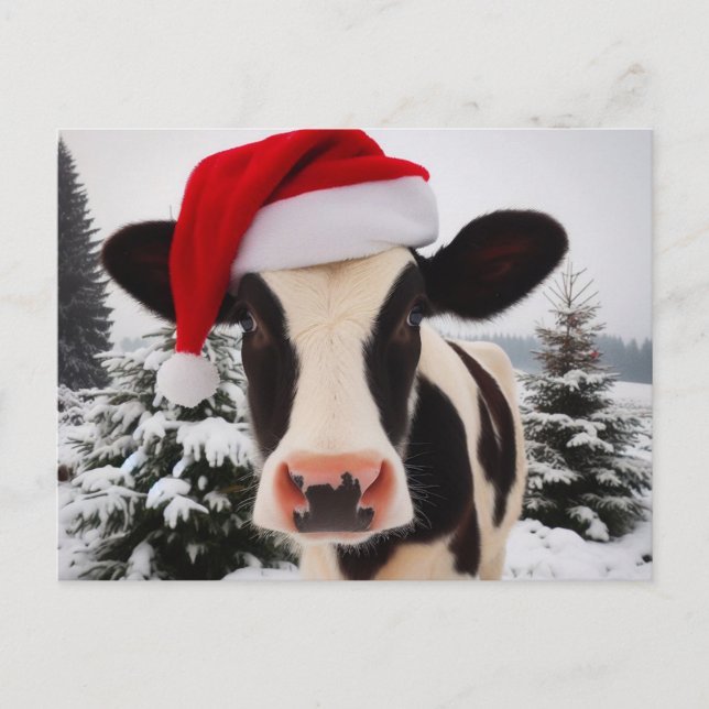 Adorable Dairy Cow in a Santa Hat Postcard (Front)