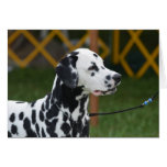 Adorable Dalmatian Cards