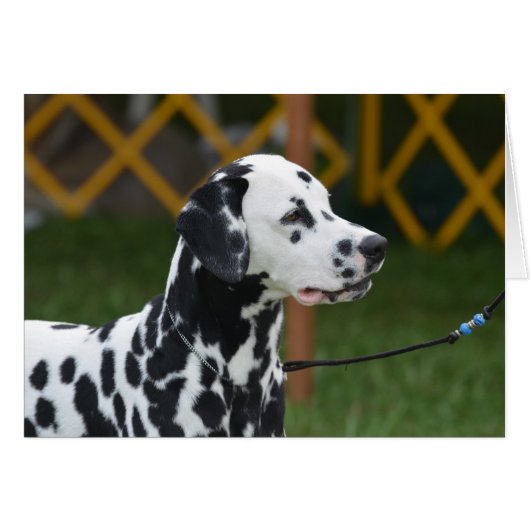 Adorable Dalmatian Cards (Front Horizontal)