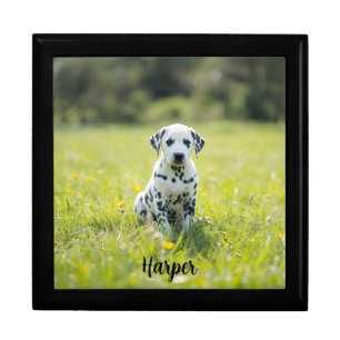 Adorable Dalmatian Personalized Jewelry Keepsake Gift Box