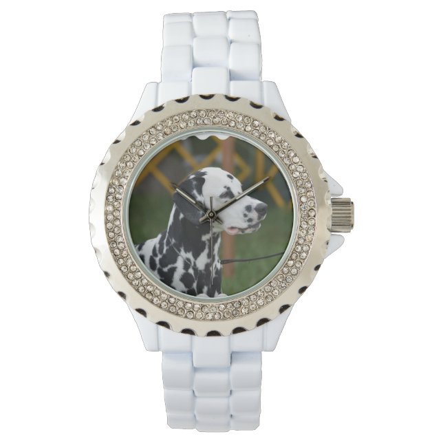 Adorable Dalmatian Watch (Front)