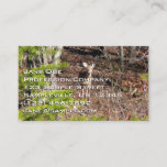 Adorable Deer in the Woods Nature Photography Business Card