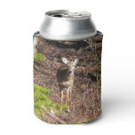 Adorable Deer in the Woods Nature Photography Can Cooler