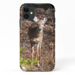 Adorable Deer in the Woods Nature Photography iPhone 11 Case