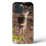 Adorable Deer in the Woods Nature Photography iPhone 13 Pro Case