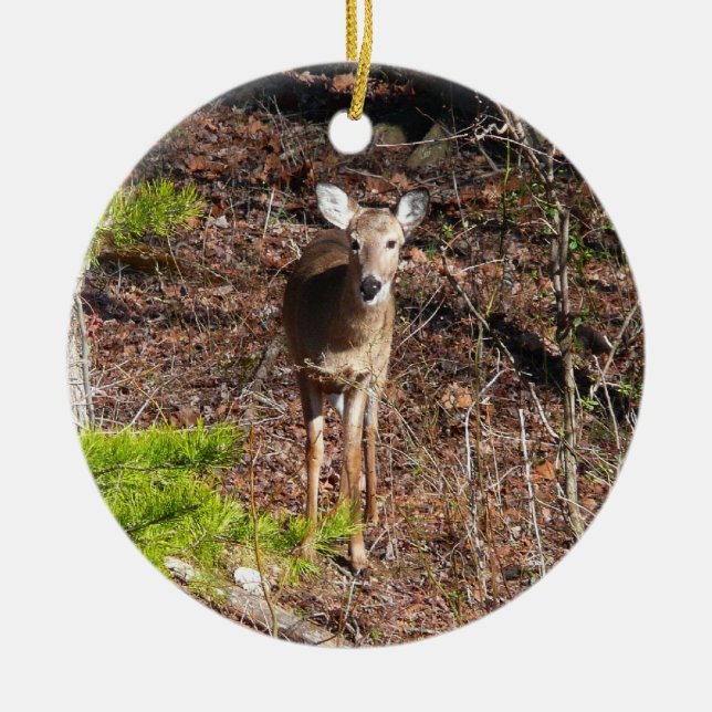 Adorable Deer in the Woods Nature Photography Ceramic Ornament (Front)