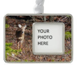 Adorable Deer in the Woods Nature Photography Christmas Ornament