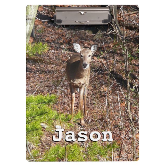 Adorable Deer in the Woods Nature Photography Clipboard (Front)