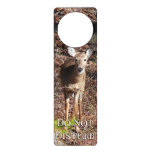 Adorable Deer in the Woods Nature Photography Door Hanger