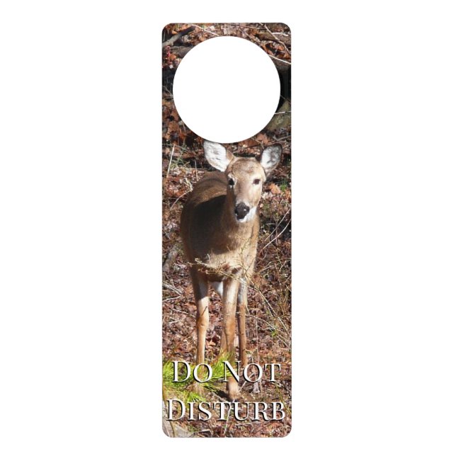 Adorable Deer in the Woods Nature Photography Door Hanger (Front)