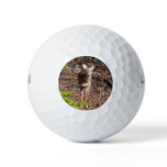 Adorable Deer in the Woods Nature Photography Golf Balls
