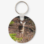 Adorable Deer in the Woods Nature Photography Keychain