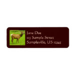 Adorable Deer in the Woods Nature Photography Label