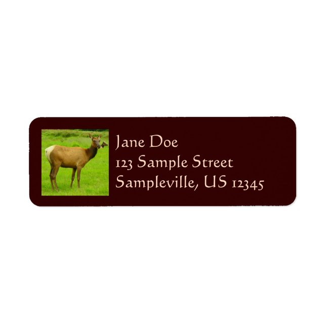 Adorable Deer in the Woods Nature Photography Label (Front)