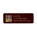 Adorable Deer in the Woods Nature Photography Label