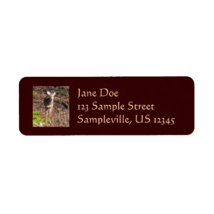 Adorable Deer in the Woods Nature Photography Label