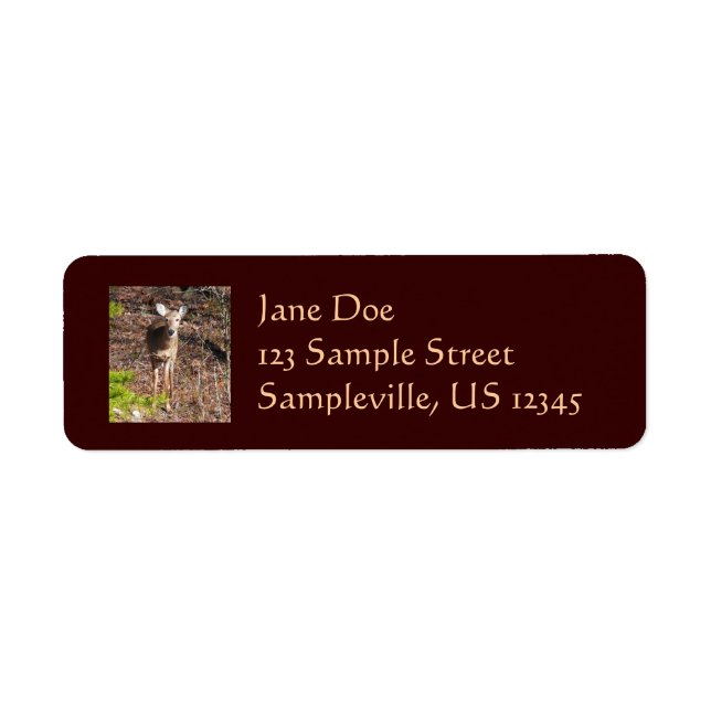 Adorable Deer in the Woods Nature Photography Label (Front)