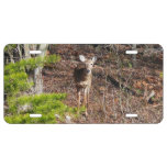 Adorable Deer in the Woods Nature Photography License Plate